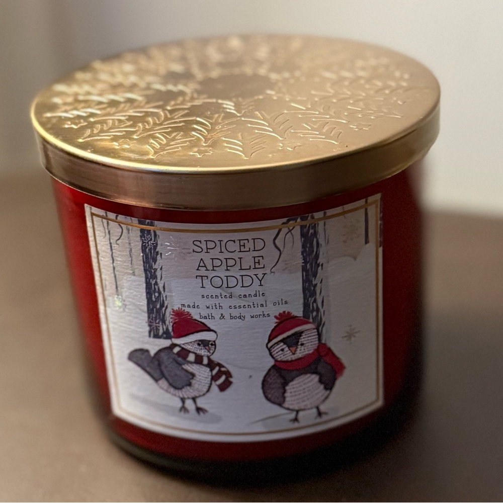 Bath & Body Works Spiced Apple Toddy Candle - Red and Gold